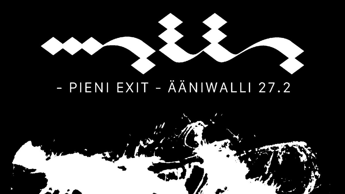 MALLA (levynjulkkarit), Erika Sirola, Sallidoing